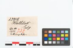 Etikett zu Bronzering (NHMW-PRAE-025908)